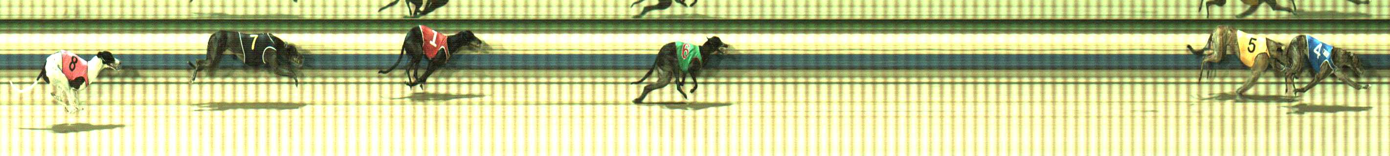 Photo finish for Sale Race 8