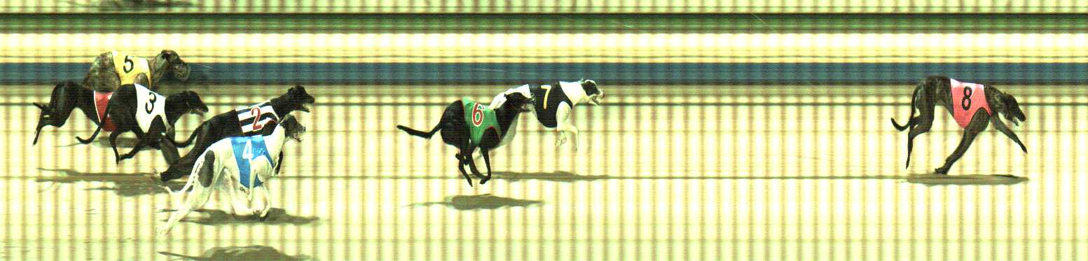 Photo finish for Sale Race 9