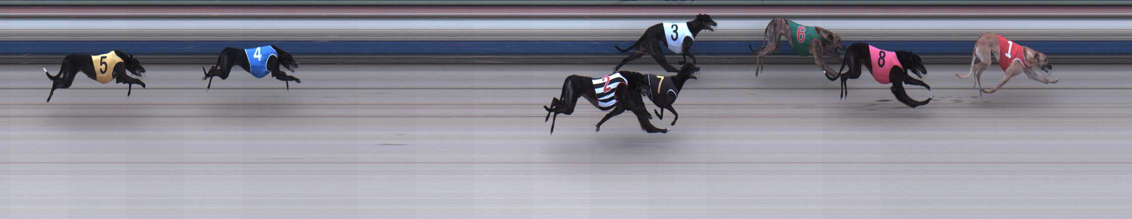 Photo finish for Sale Race 3