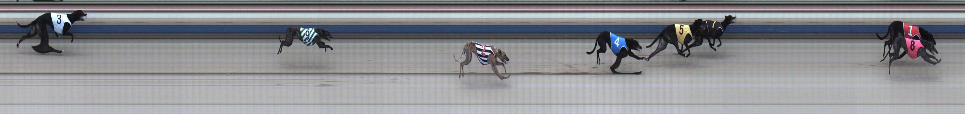 Photo finish for Sale Race 4