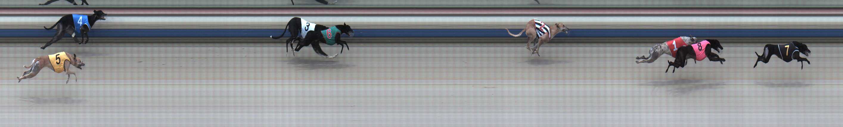 Photo finish for Sale Race 5