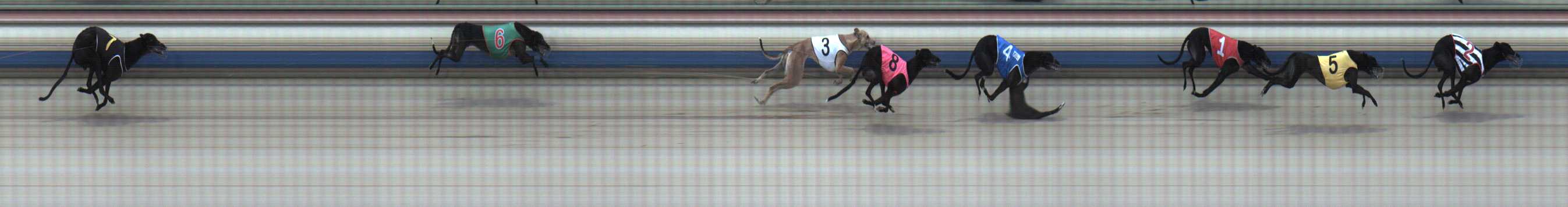 Photo finish for Sale Race 6