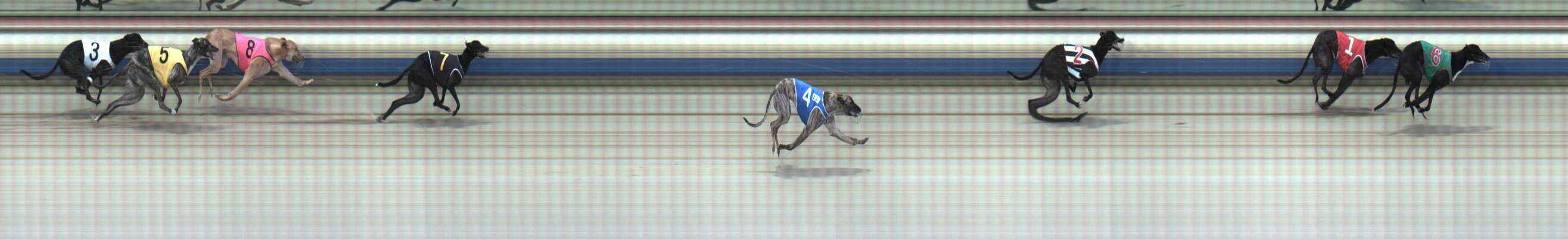 Photo finish for Sale Race 7