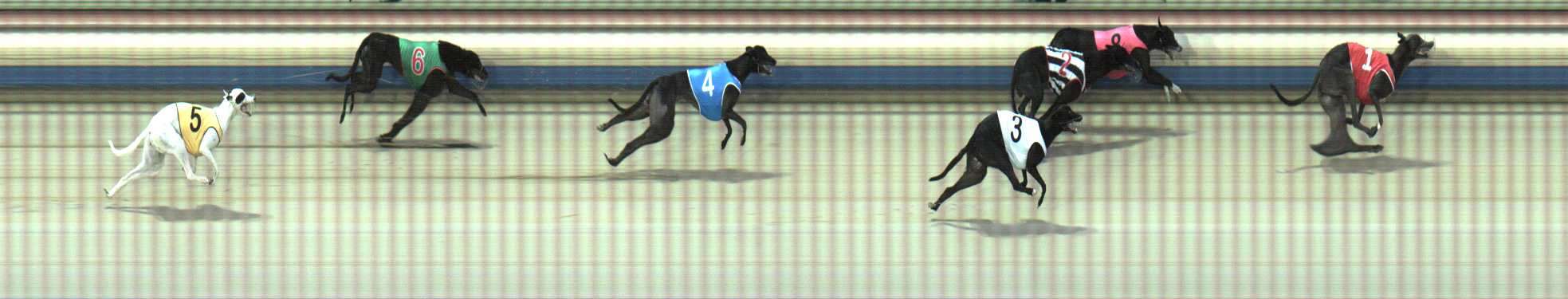 Photo finish for Sale Race 8