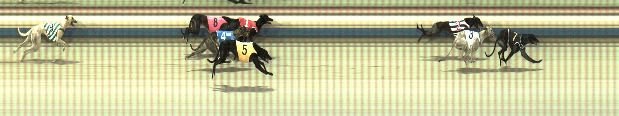 Photo finish for Sale Race 9