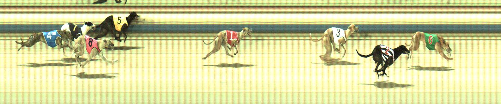 Photo finish for Sale Race 10