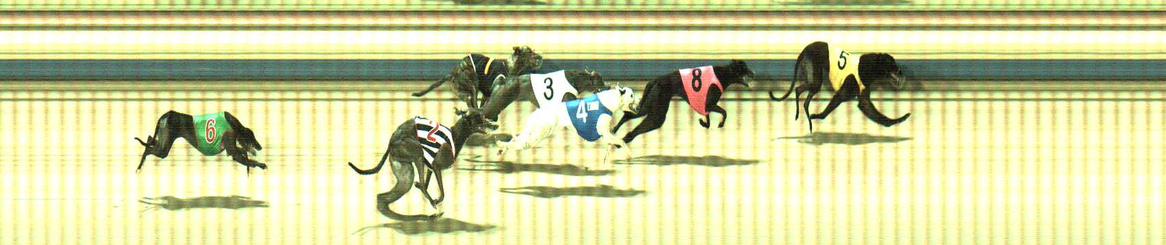 Photo finish for Sale Race 11