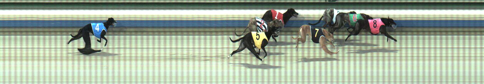 Photo finish for Sale Race 4