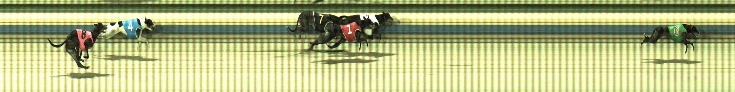 Photo finish for Sale Race 6