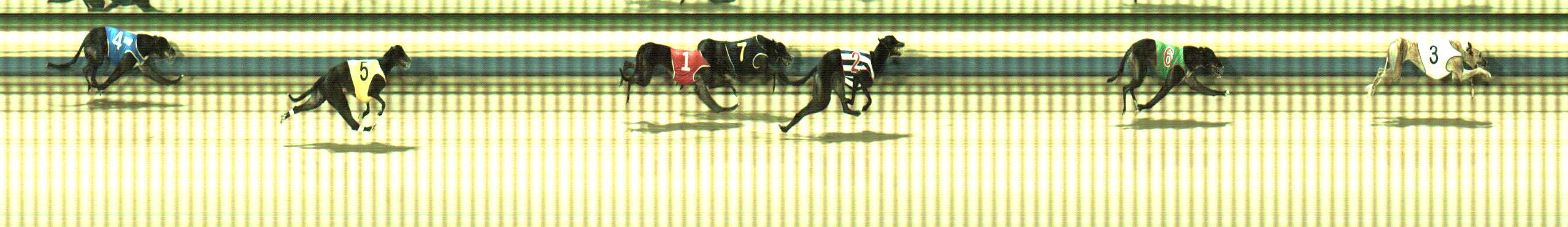Photo finish for Sale Race 7