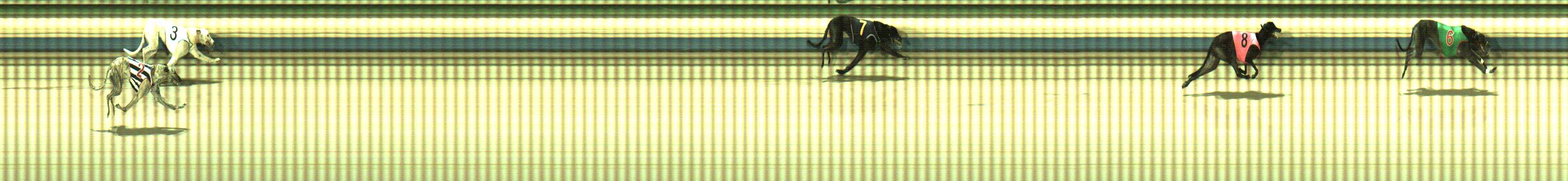 Photo finish for Sale Race 8
