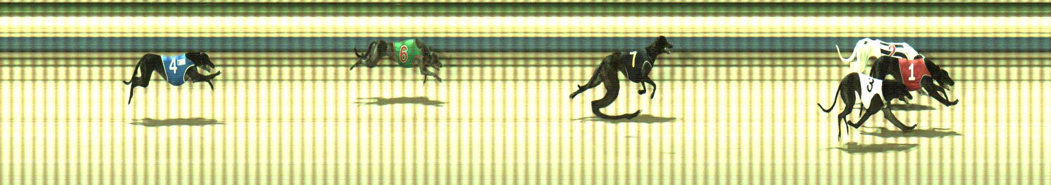 Photo finish for Sale Race 9