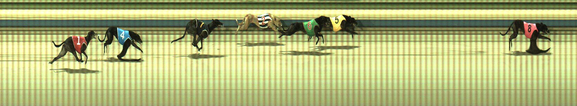 Photo finish for Sale Race 12