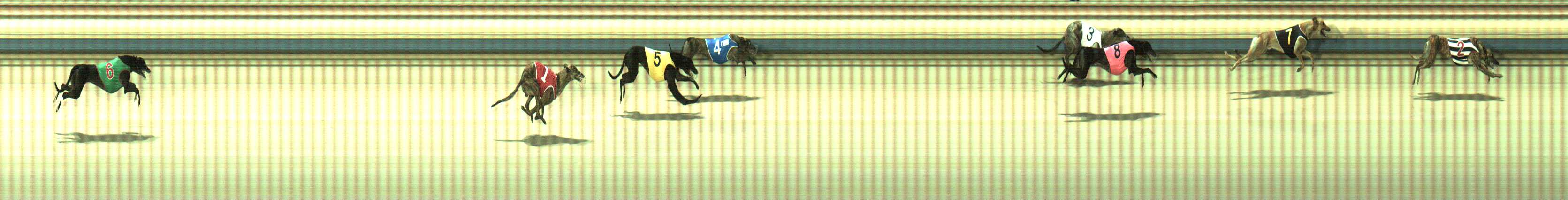 Photo finish for Sale Race 6