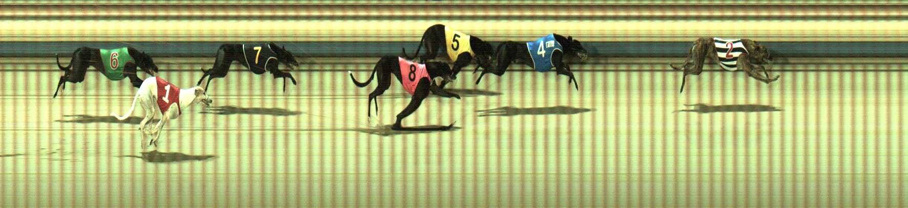 Photo finish for Sale Race 7