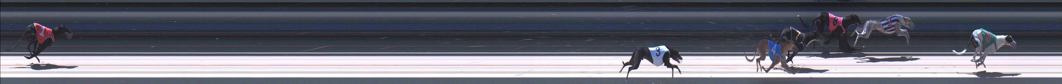 Photo finish for Sale Race 2
