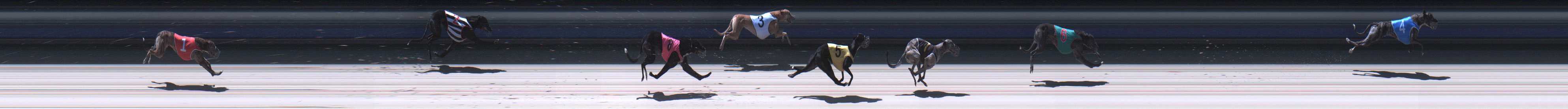 Photo finish for Sale Race 3