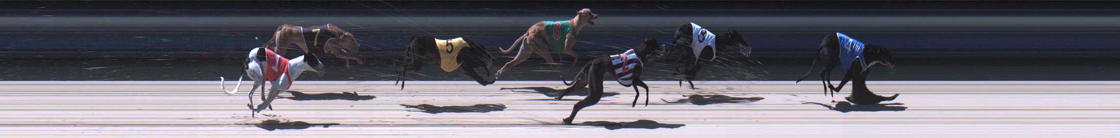 Photo finish for Sale Race 4