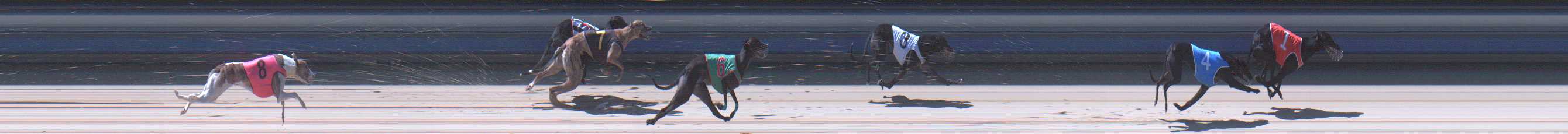 Photo finish for Sale Race 5