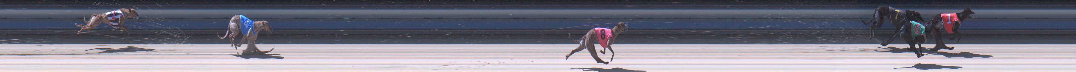 Photo finish for Sale Race 6
