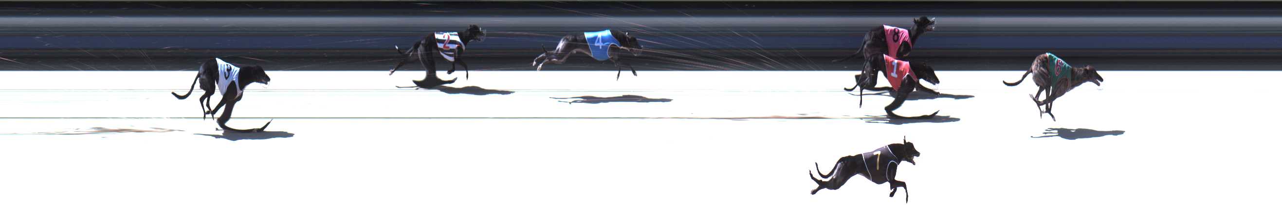 Photo finish for Sale Race 7