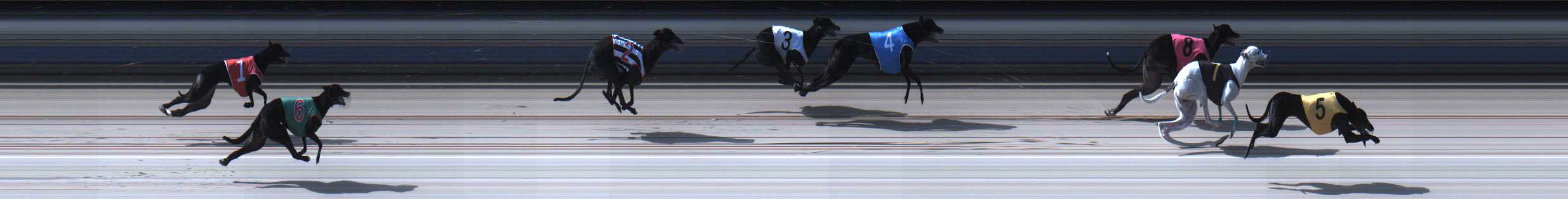 Photo finish for Sale Race 9