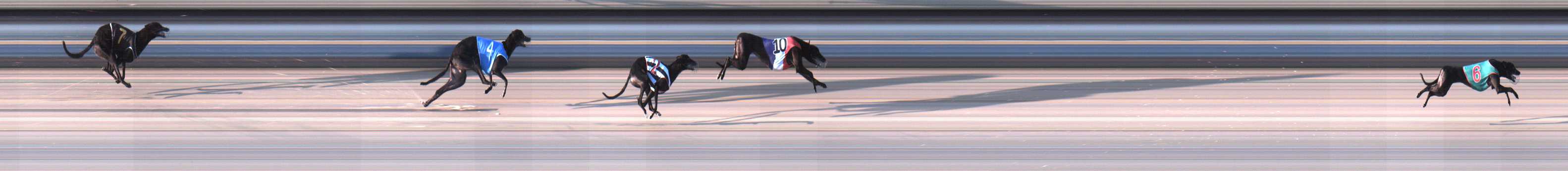 Photo finish for Sale Race 2