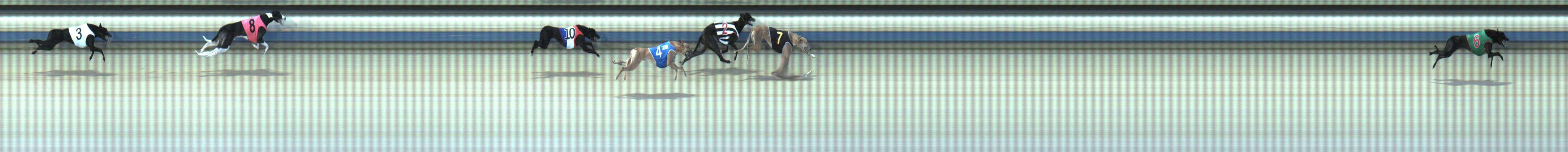 Photo finish for Sale Race 3