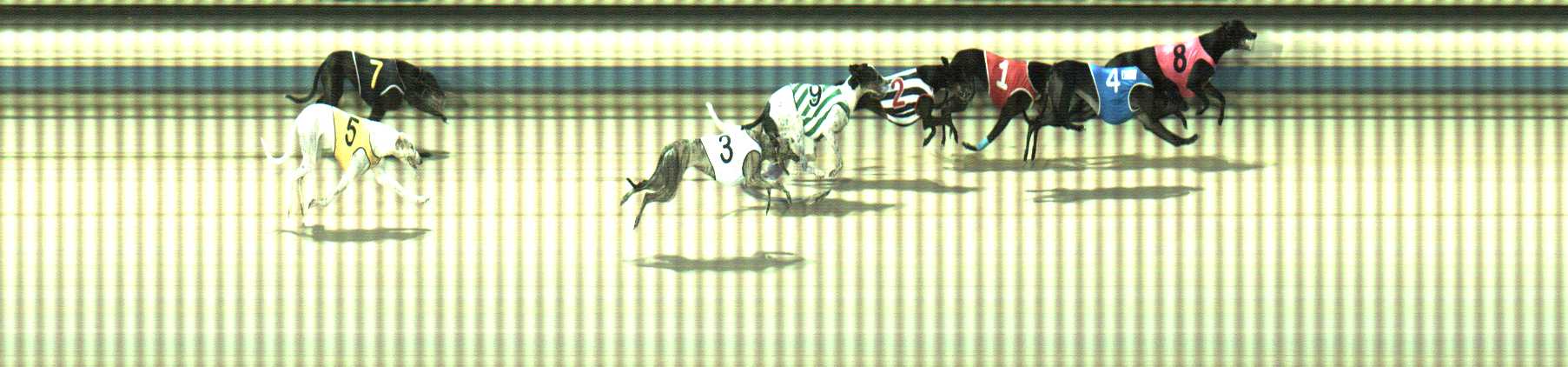 Photo finish for Sale Race 4