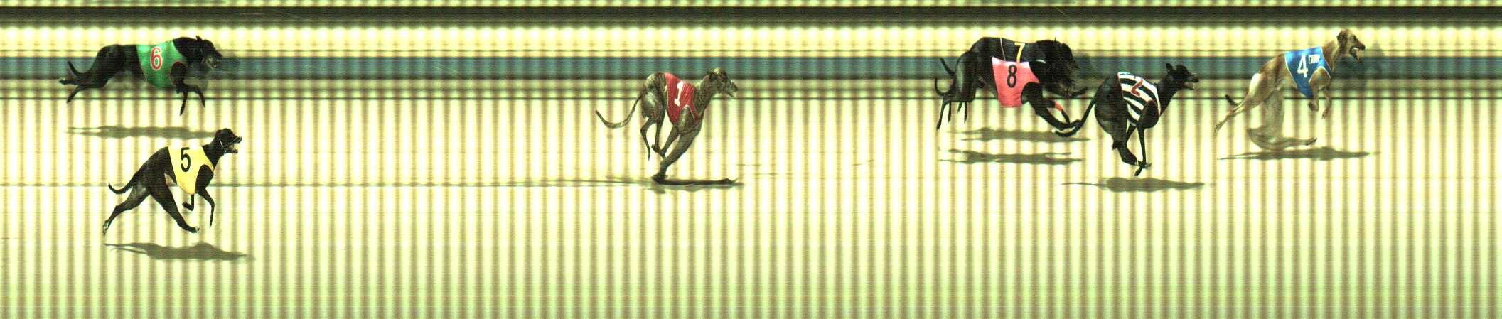 Photo finish for Sale Race 5