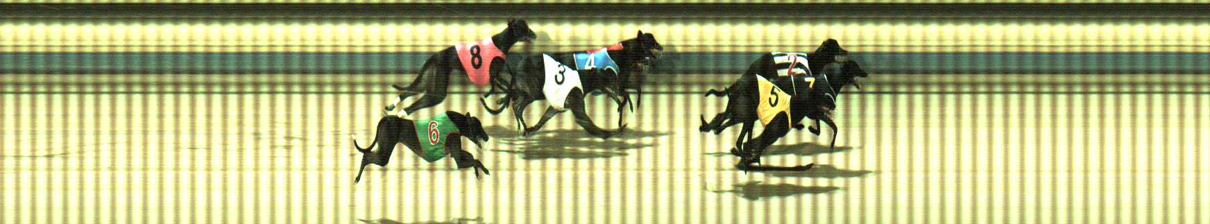 Photo finish for Sale Race 6