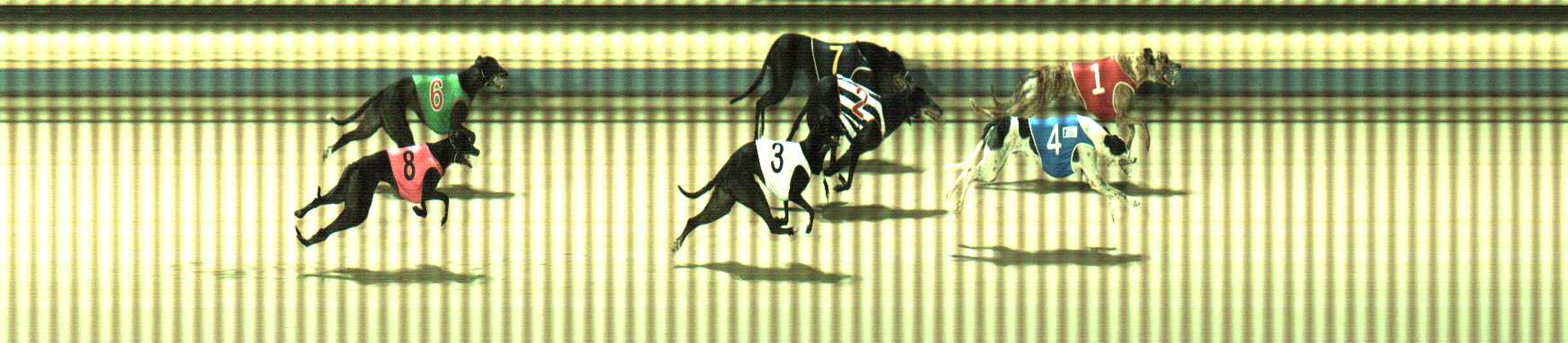 Photo finish for Sale Race 7