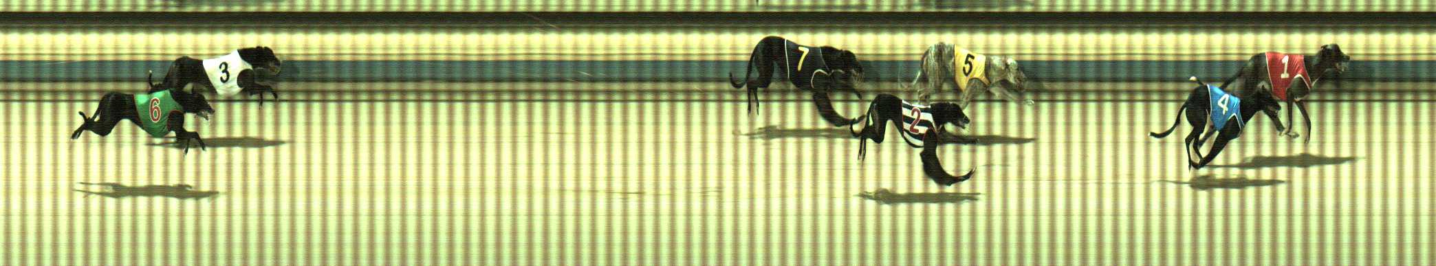 Photo finish for Sale Race 9