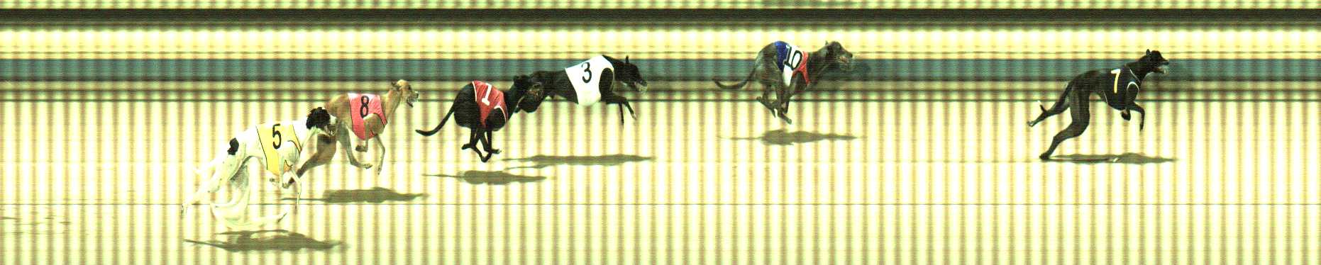 Photo finish for Sale Race 10