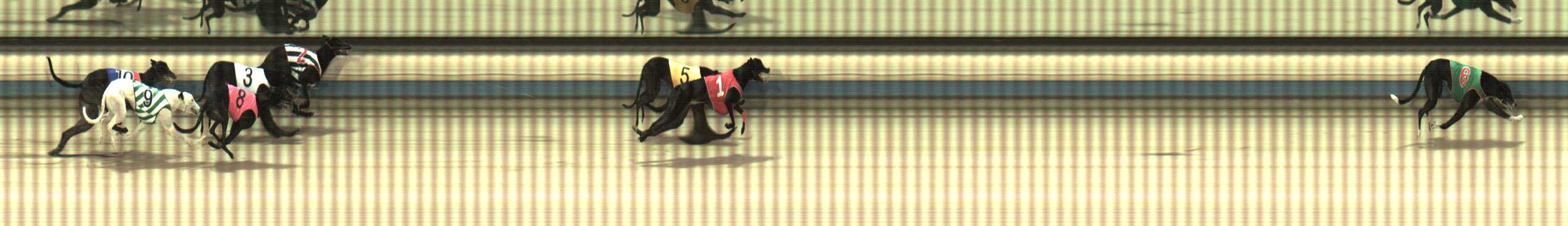 Photo finish for Sale Race 5