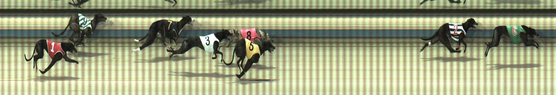 Photo finish for Sale Race 6