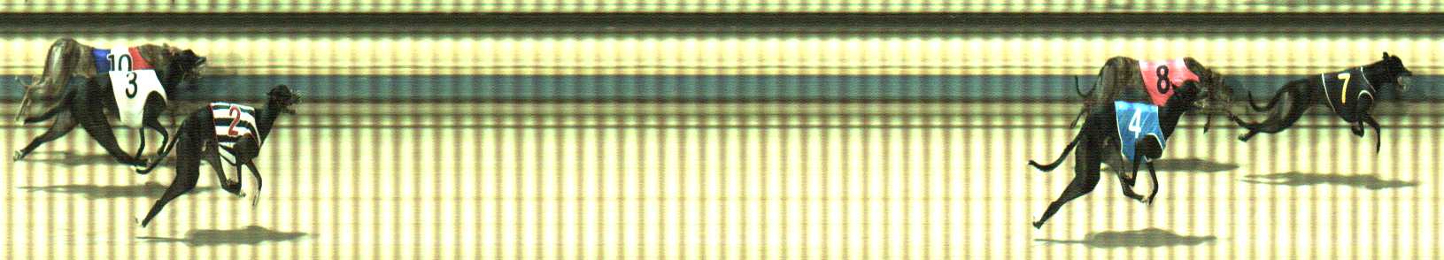 Photo finish for Sale Race 7