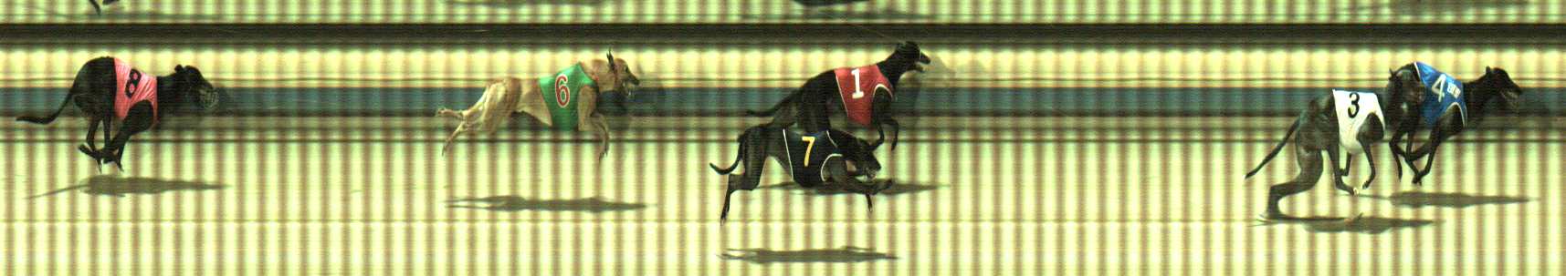 Photo finish for Sale Race 8
