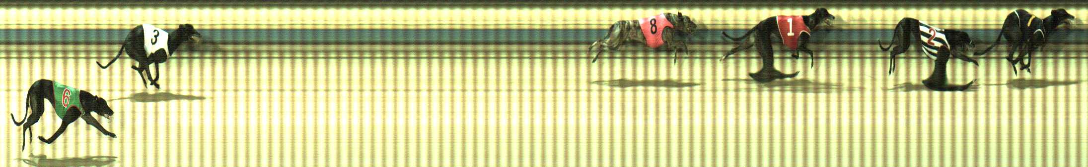 Photo finish for Sale Race 9