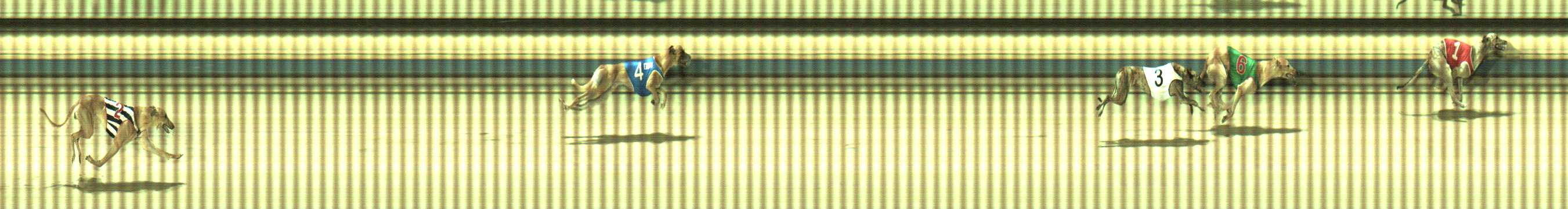 Photo finish for Sale Race 10