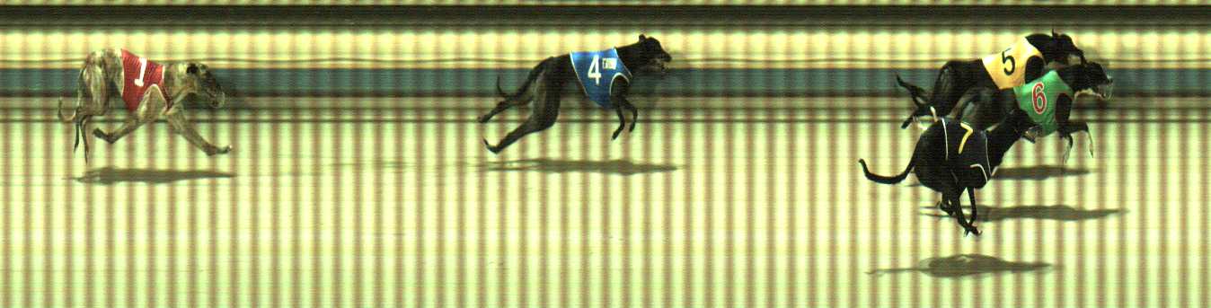 Photo finish for Sale Race 12