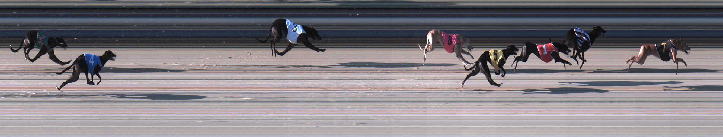 Photo finish for Sale Race 2