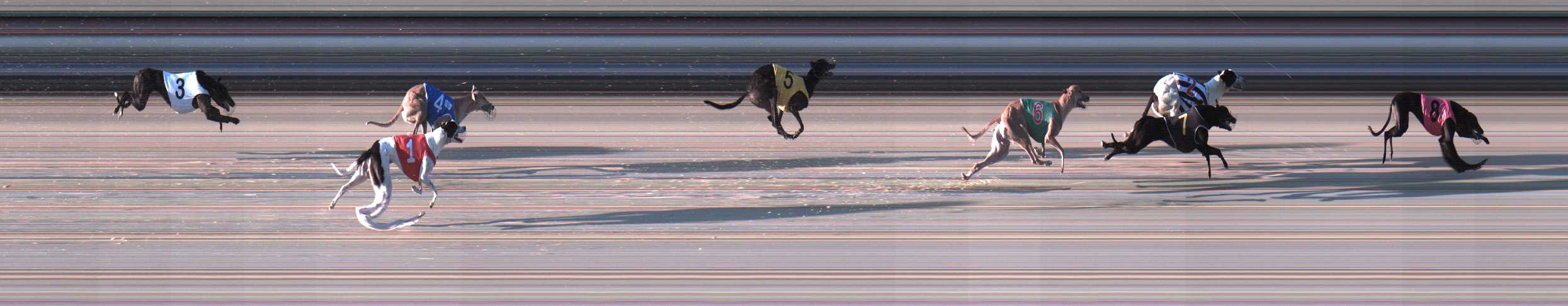 Photo finish for Sale Race 3