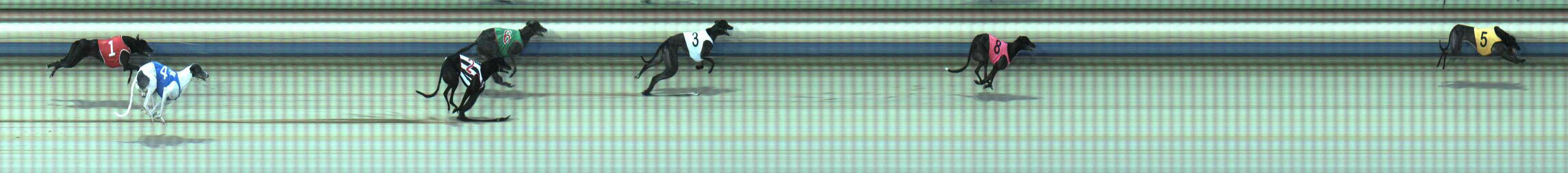 Photo finish for Sale Race 4