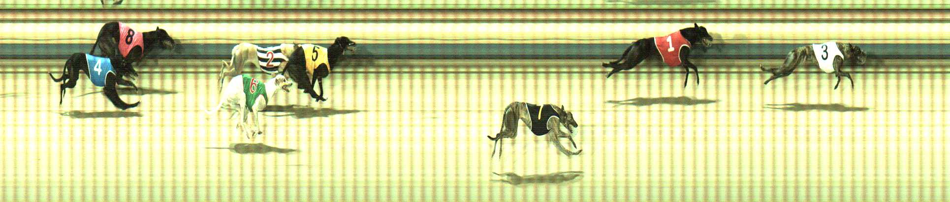 Photo finish for Sale Race 6
