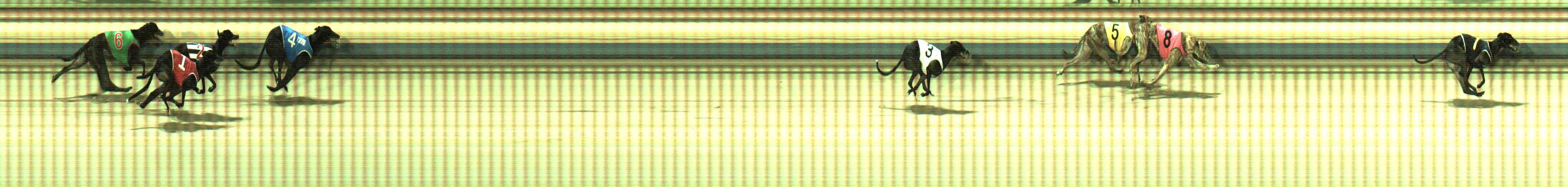 Photo finish for Sale Race 7