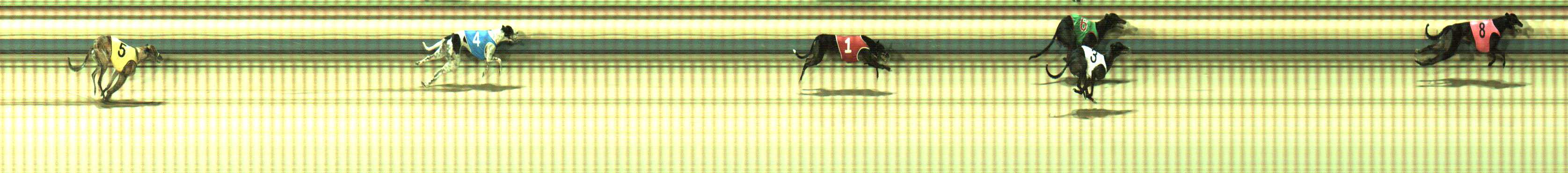 Photo finish for Sale Race 8