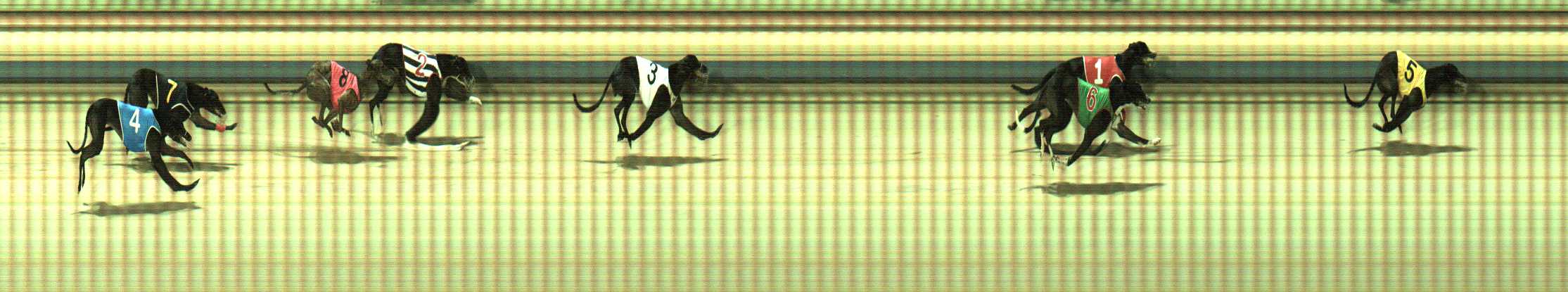 Photo finish for Sale Race 9