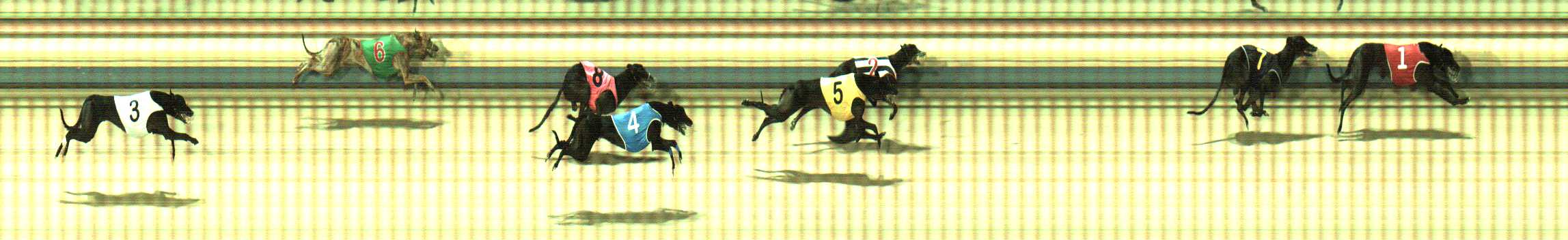 Photo finish for Sale Race 10