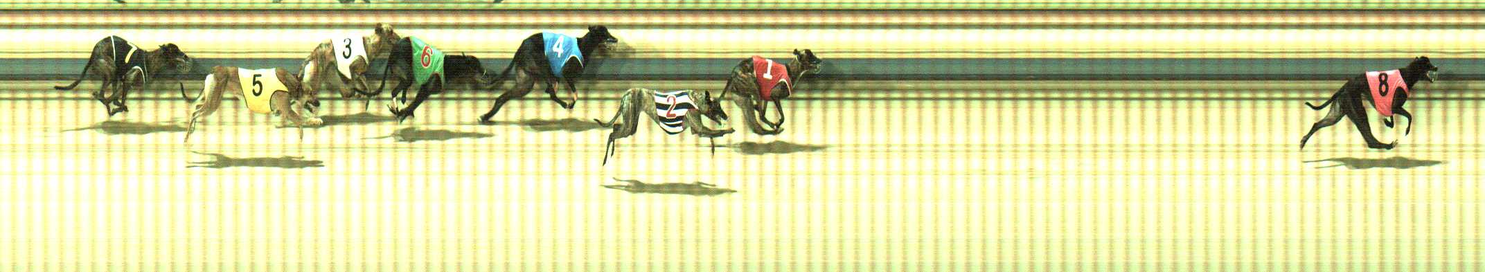 Photo finish for Sale Race 11
